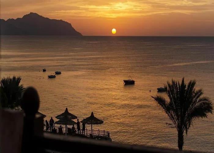 Concorde El Salam Shiekh Hotel 5*