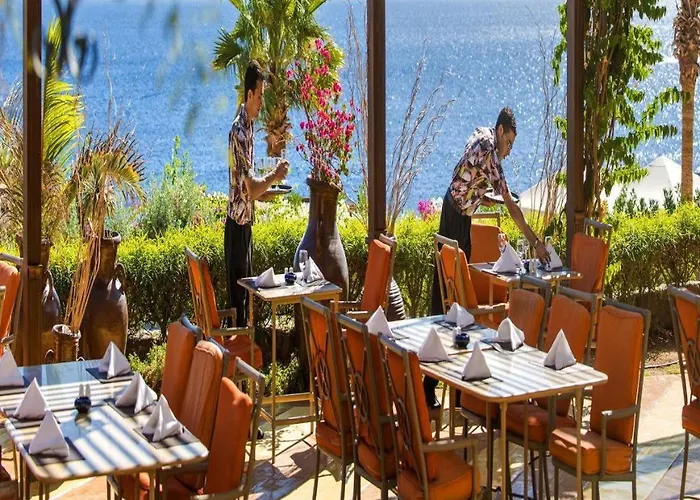 Hotel Concorde El Salam Shiekh 5*