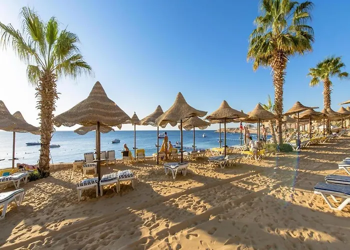 Hotel Concorde El Salam Shiekh 5*